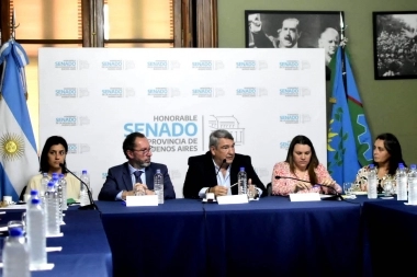 Luego de un debate de meses, el proyecto Ley de Alcohol Cero será tratado en el Senado