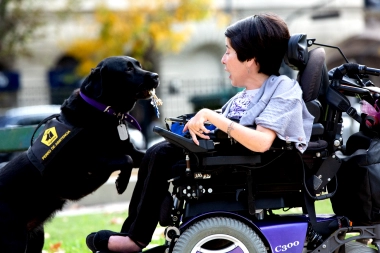 En el Senado bonaerense buscan una normativa propia para la Ley de perros guía