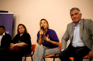 La insólita queja de Reichardt por el formato y la “letra chica” del reglamento en Diputados de la Nación