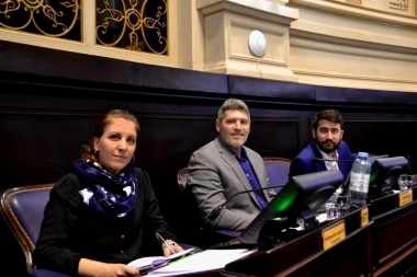 Se partió el bloque de Avanza Libertad en Diputados de la Provincia