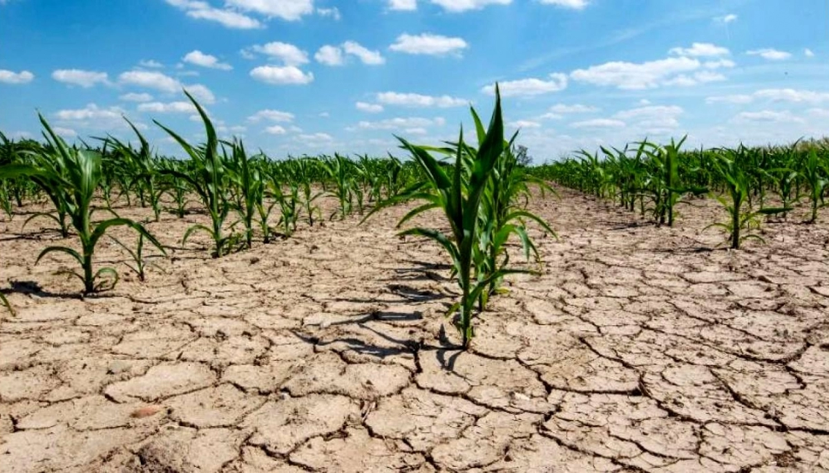 Beneficio impositivo a productores de un distrito bonaerense por la Emergencia Agropecuaria
