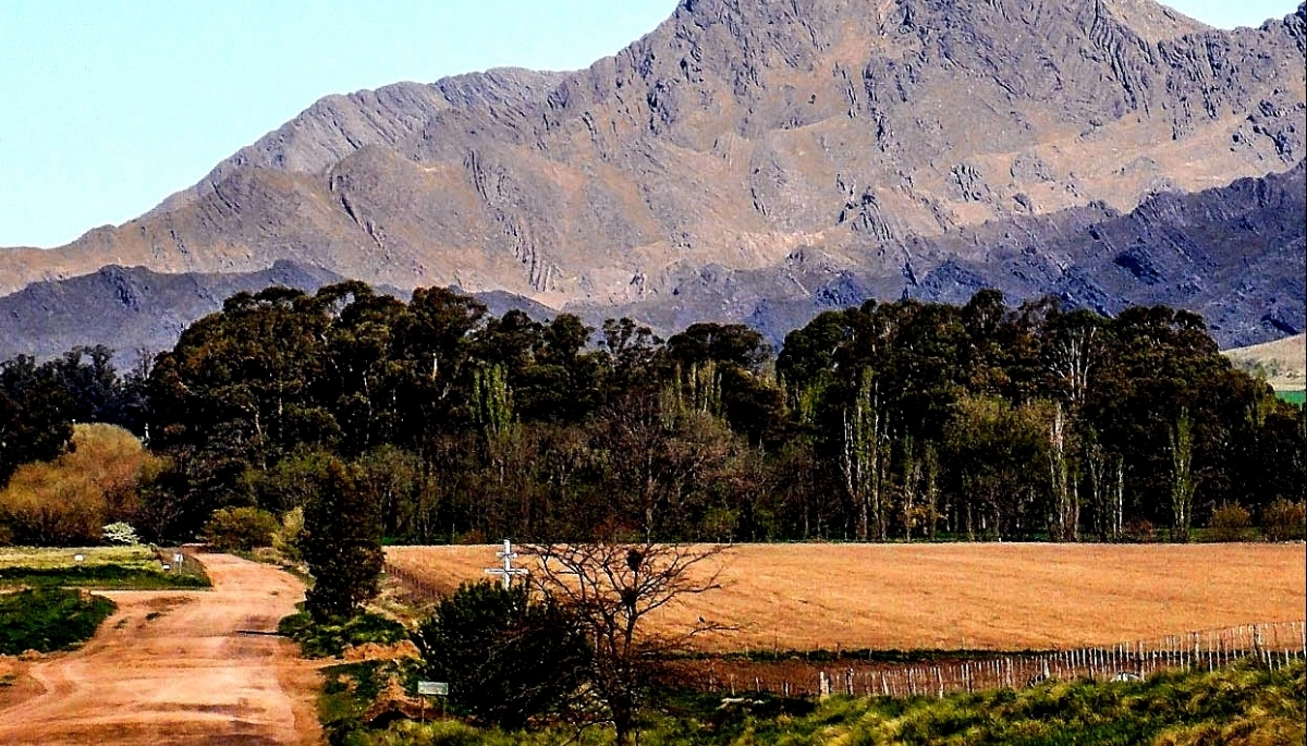 Destinos Bonaerenses: dos pueblos que se volvieron famosos por sus trufas y arándanos