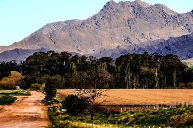 Destinos Bonaerenses: dos pueblos que se volvieron famosos por sus trufas y arándanos