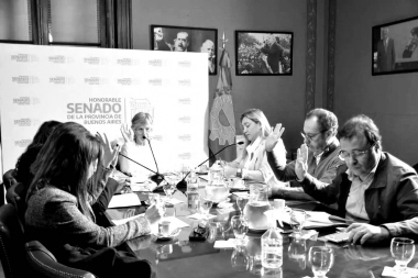 Se volvió a calentar la comisión de Educación del Senado: cruce entre Reigada y Ahumada