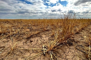 Son 13 los partidos bonaerenses que declararán la emergencia agropecuaria