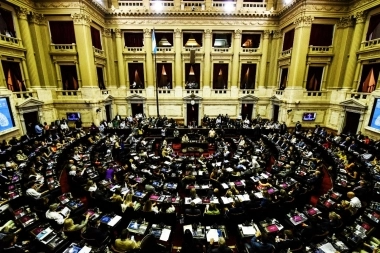 En vivo: Diputados nacionales debaten la capacitación para funcionarios en “Ley Lucio”