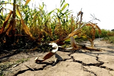 Presentó medidas: Kicillof anunció la emergencia por sequía en la Provincia