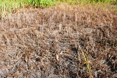 Tensión entre Kicillof y Federación Agraria por la emergencia agropecuaria en la Provincia