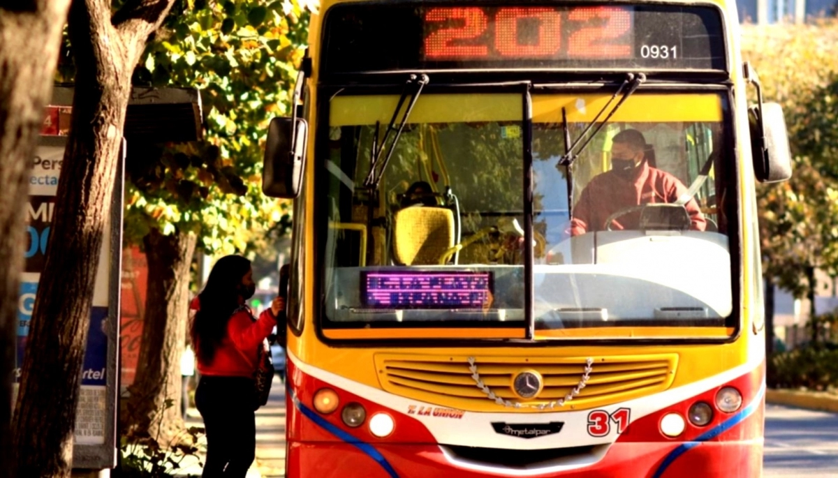 Impulsan un servicio de transporte accesible e inclusivo en la Provincia