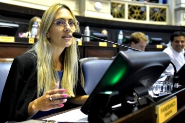 “La Legislatura no debe dejar de funcionar porque haya elecciones”, pidió Panebianco