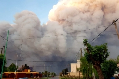 Ministerios de Ambiente, Salud y Seguridad desplegaron operativos en la zona del Delta de Paraná