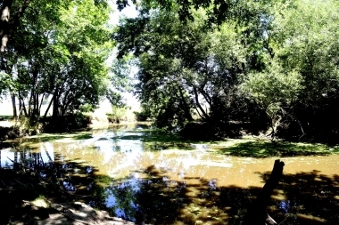 La Justicia escuchó la denuncia del municipio de La Plata y suspendió las obras en El Pescado