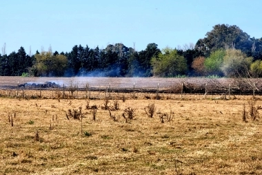 Emergencia agropecuaria: la provincia de Buenos Aires la prorrogó hasta marzo e incorporó nuevos partidos