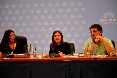 Raverta insistió sobre los riesgos de no tratar la Ley de Deuda de Pago Previsional