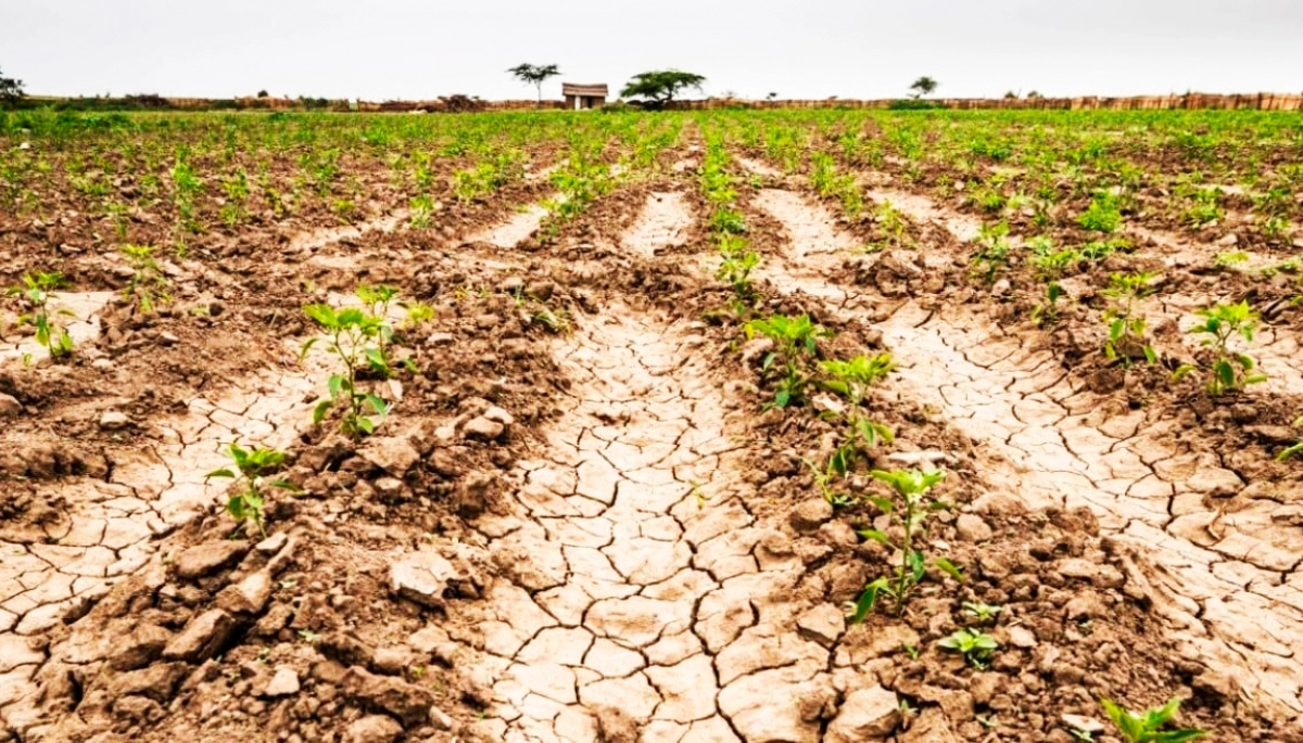 El Gobierno Nacional declaró emergencia agropecuaria en 19 municipios de la Provincia