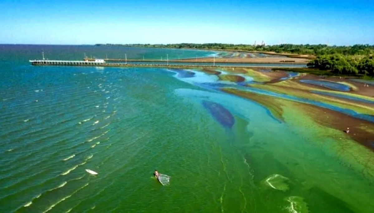 En qué localidades de Buenos Aires continúa la alerta por cianobacterias