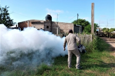 En Provincia se detectaron 25 casos confirmados de dengue y 44 de chikungunya