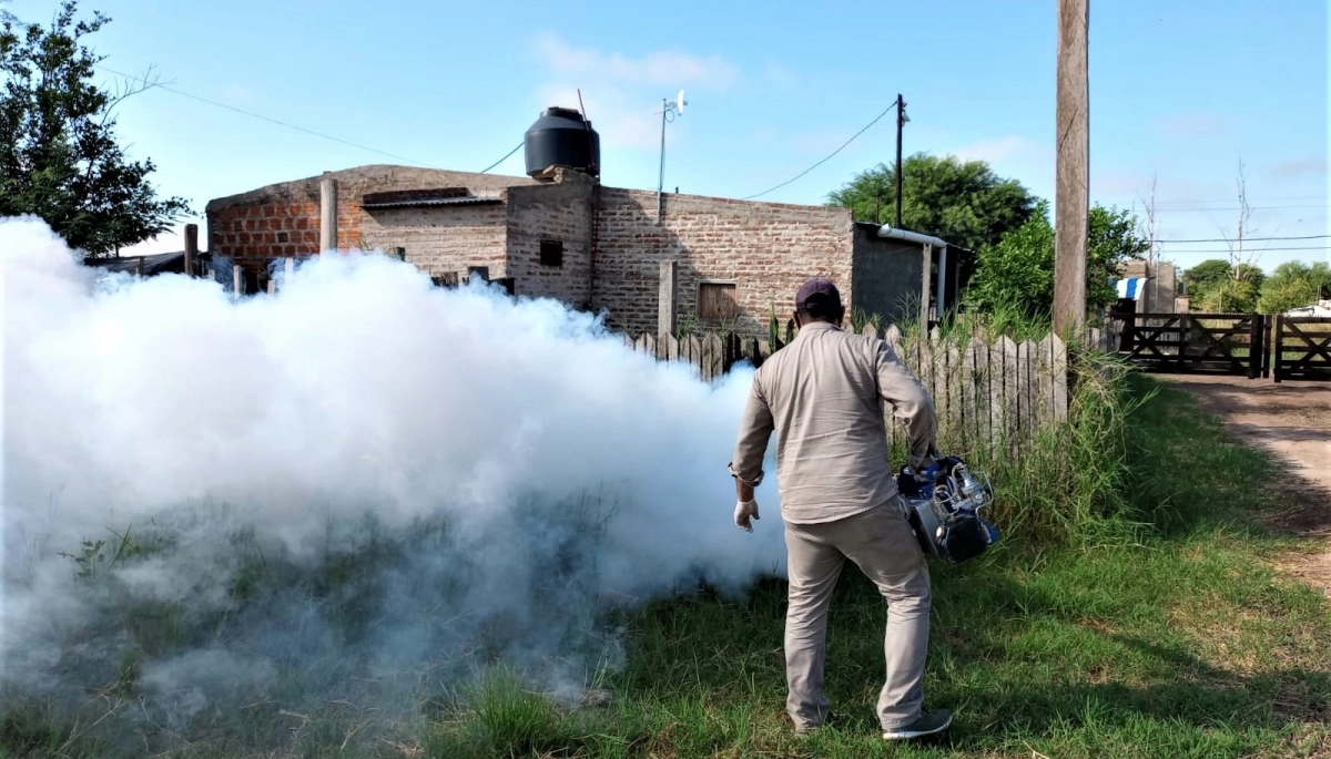 En Provincia se detectaron 25 casos confirmados de dengue y 44 de chikungunya