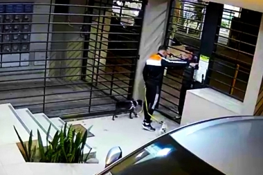 El asesinato de Báez Sosa no les enseñó nada y se pelearon por donde tirar la basura