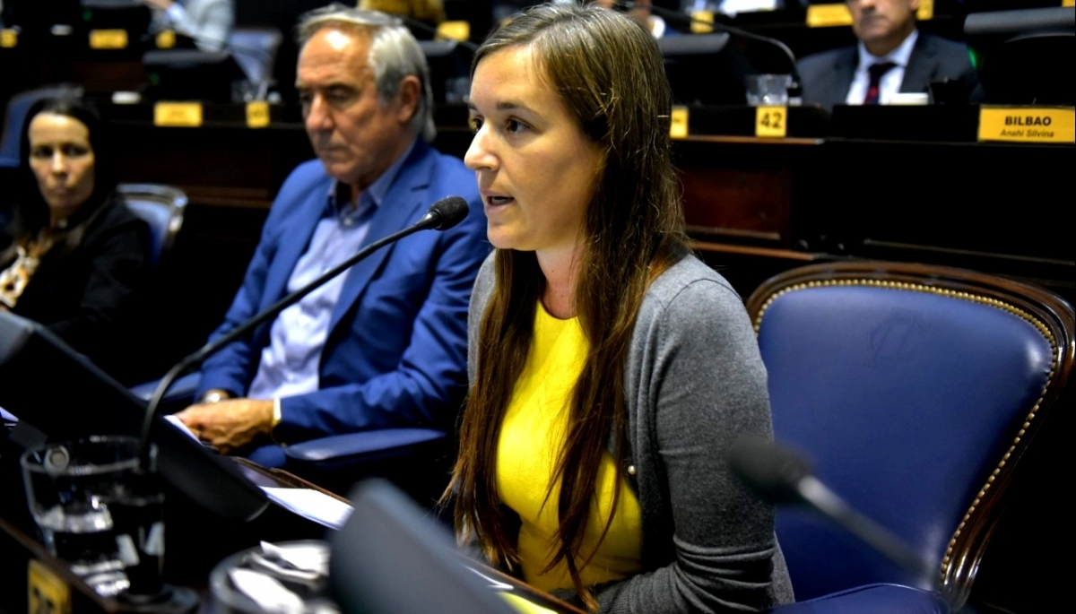 La diputada Gómez pidió informes sobre el descarrilamiento de un tren que viajaba a Bahía Blanca