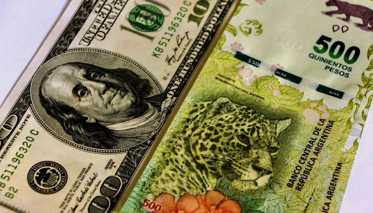 Llegó a los 500 pesos: a cuánto cerró el Dólar Blue