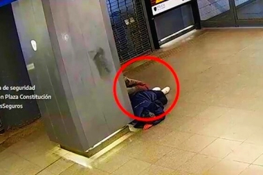 Al cocodrilo que se duerme en los pasillos, los rateros le sacan las pertenencias