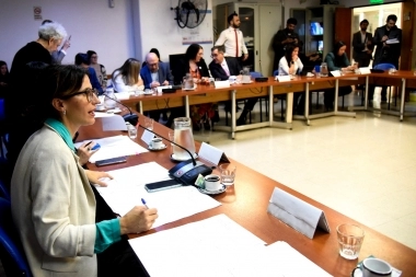 Diputados: la Comisión de Población y Desarrollo Humano aprobó una batería de proyectos