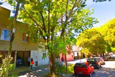 Ola de inseguridad en La Plata atrajo a un nostálgico: grabaron a ladrón que roba estéreos de autos