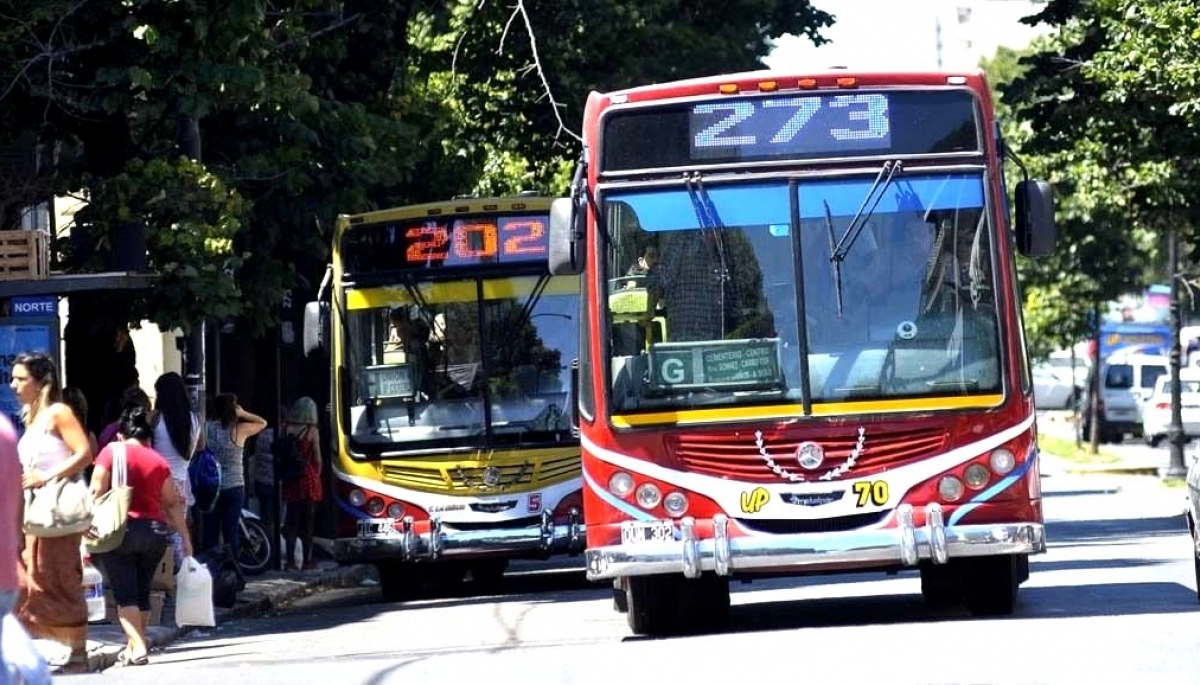 En el día de las elecciones, habrá transporte público y gratuito para ir a votar