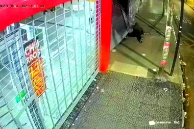 Perseveró y triunfó: luego de 16 minutos de lucha y "esfuerzo" violentó una persiana y se robó un TV