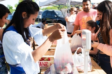 Destinos bonaerenses: degustaciones de frutillas y elaboraciones con “el fruto rojo”