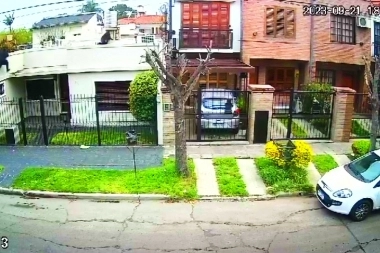Un dogo argentino puso en fuga a tres ladrones que pretendían realizar un escruche