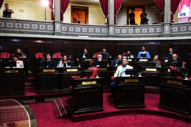 El Senado bonaerense aprobó la Ley de Investigación en Salud: de qué se trata