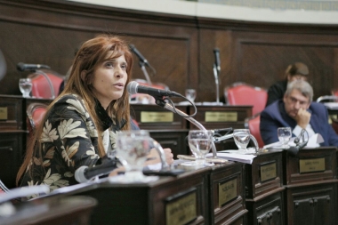 Senadora del FpV-PJ repudió los dichos de Durán Barba y pidió que Macri y Vidal se disculpen