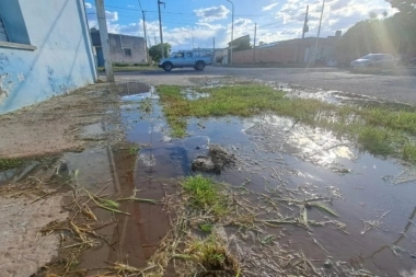 Caos hídrico en Bahía Blanca: vecinos apuntan contra ABSA por “no dar respuesta”