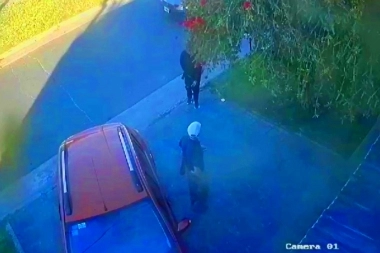 Salió en defensa del padre y con una tremenda patada en la cola puso en fuga al motochorro