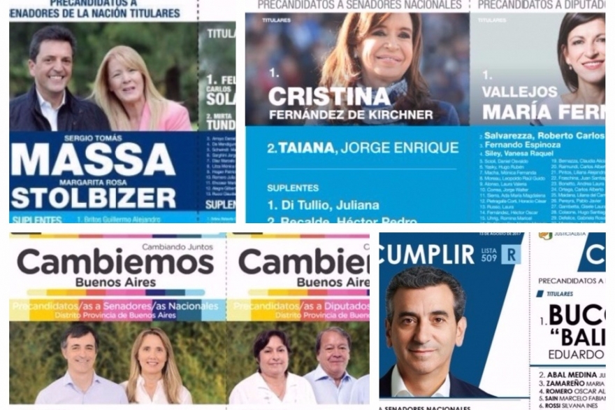 Conocé las principales boletas de los espacios que competirán en las PASO de la Provincia