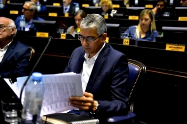 Puglelli destacó que la Ley Ómnibus de Milei “no respondía” a las necesidades de la gente