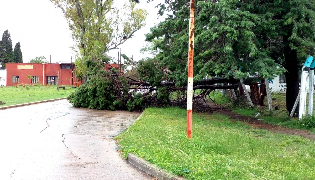 Tormentas en La Plata: el municipio declaró alerta naranja y recomienda no salir de casa