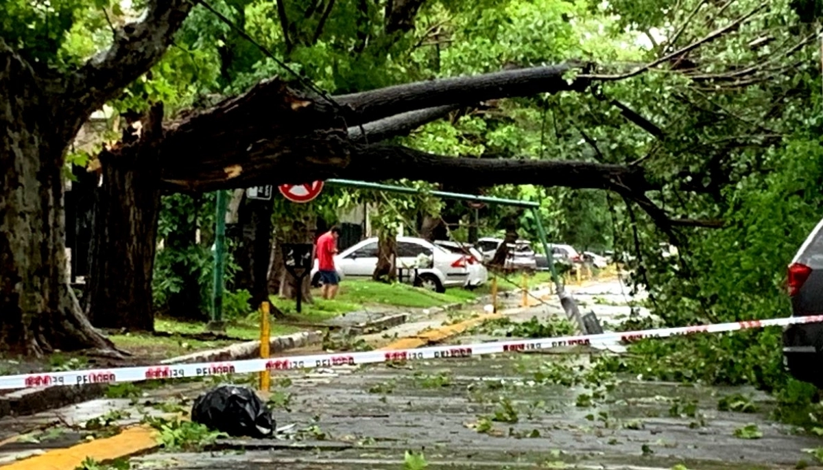 Cifras oficiales: 15 los fallecidos de distintos puntos de la Provincia de Buenos Aires por el temporal