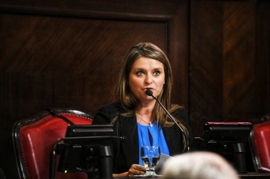 Senadora de la UCR resaltó a Kicillof por el pedido de ayuda para Bahía Blanca por el temporal