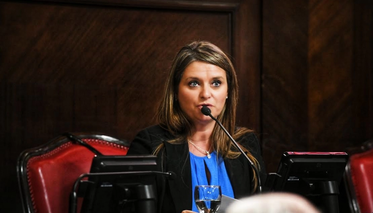 Senadora de la UCR resaltó a Kicillof por el pedido de ayuda para Bahía Blanca por el temporal