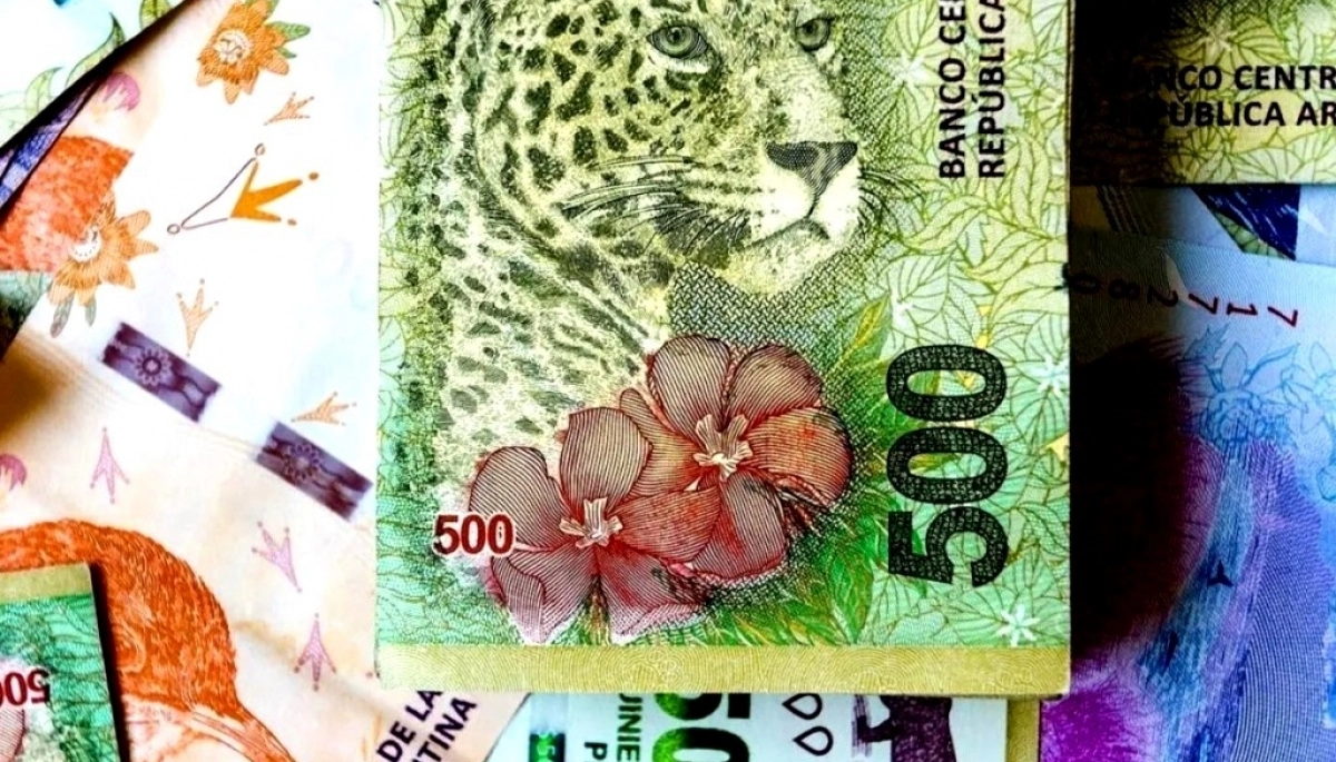 Por la creciente inflación, el gobierno de Milei planea emitir billetes de $20.000 y $50.000