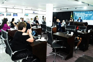 Insolito: Concejal libertario faltó a la sesión, pero comentaba en vivo por Facebook