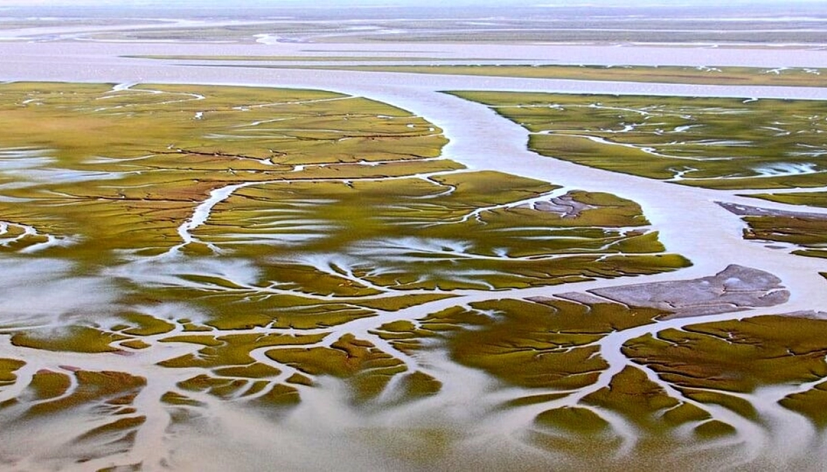 En Bahía Blanca denunciarán a una empresa por derrame de petróleo sobre una reserva natural
