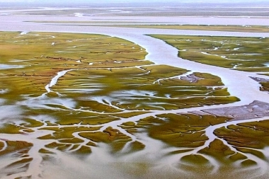 En Bahía Blanca denunciarán a una empresa por derrame de petróleo sobre una reserva natural