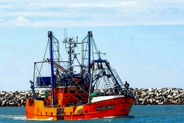 Nueva Ley de Pesca: desde Mar del Plata explicaron por qué afectaría negativamente al distrito