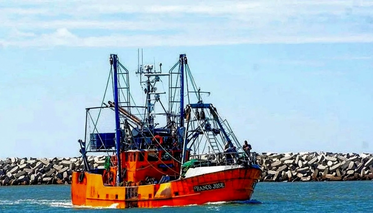 Nueva Ley de Pesca: desde Mar del Plata explicaron por qué afectaría negativamente al distrito