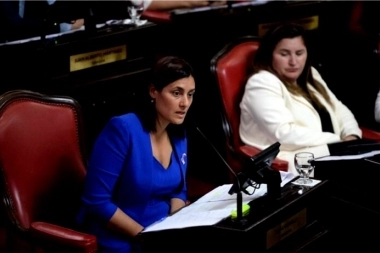 Senadora provincial disparó contra Milei por las tarifas: “Está dispuesto a eliminar a la clase trabajadora”