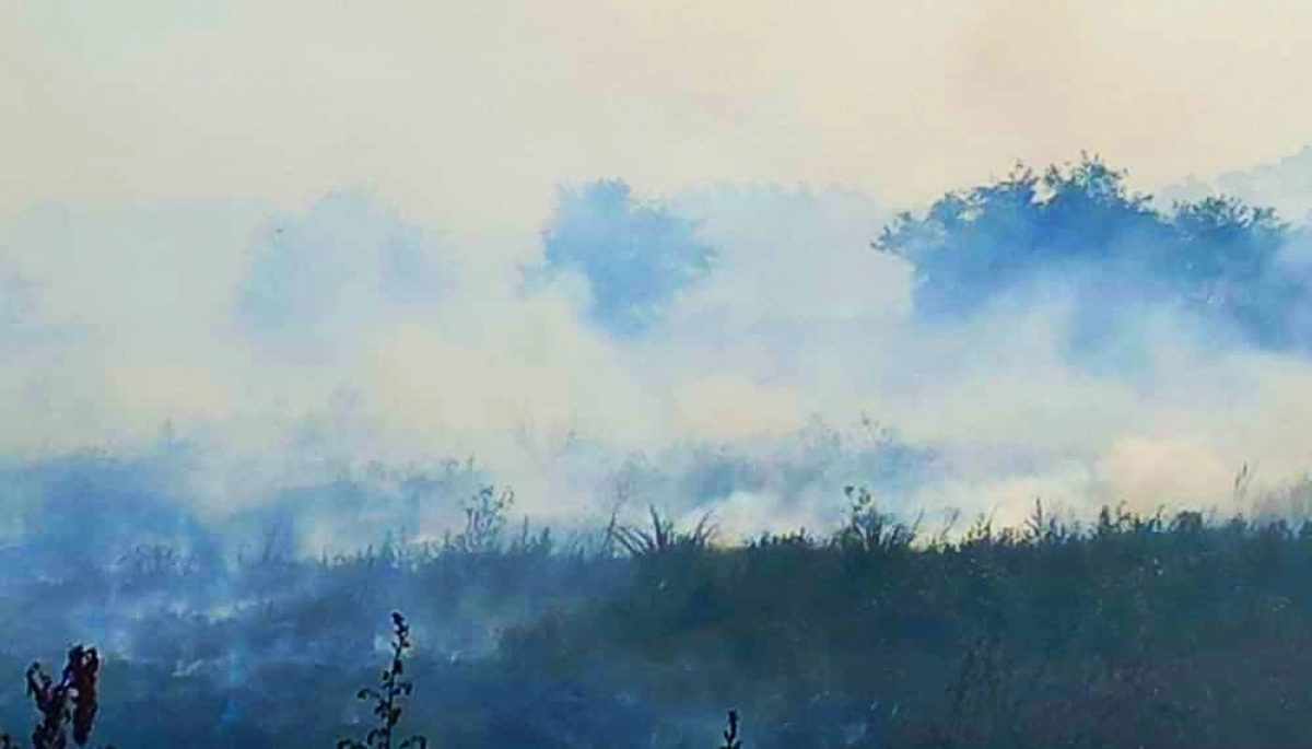 Seis días de fuego y humo: vecinos enfermos e intoxicados por la quema de pastizales en un frigorífico